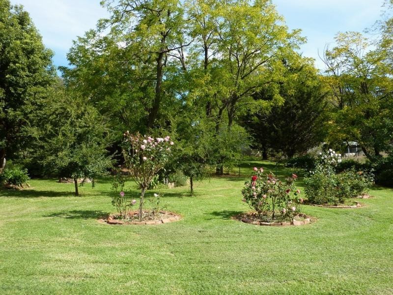 3869 Tumbarumba Road, Carabost NSW 2650