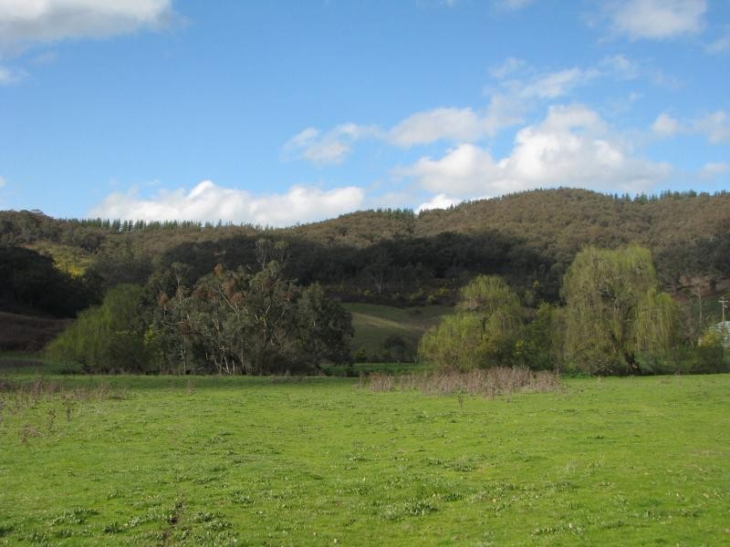 3869 Tumbarumba Road, Carabost NSW 2650