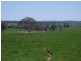 Tarcutta NSW 2652