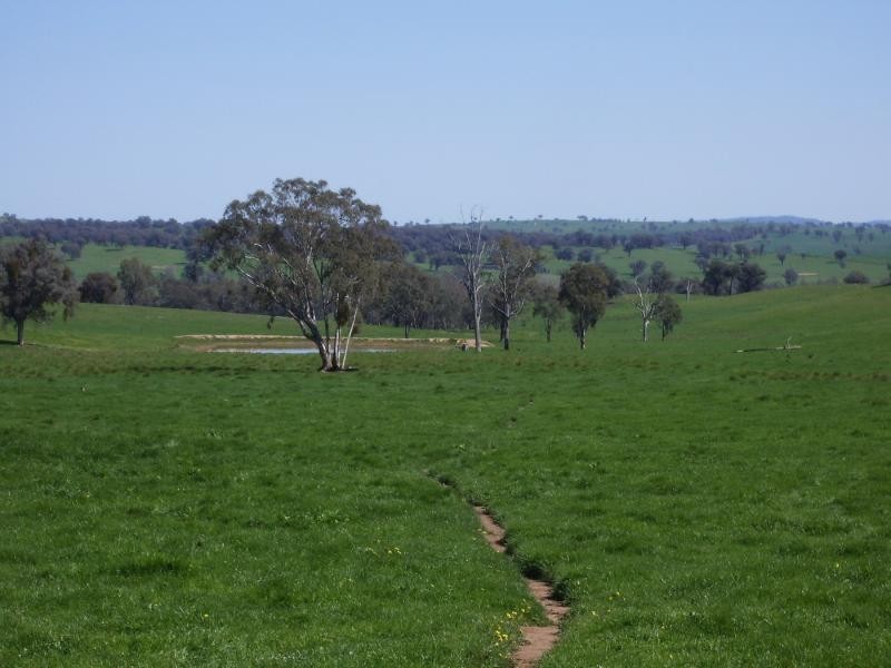 Tarcutta NSW 2652