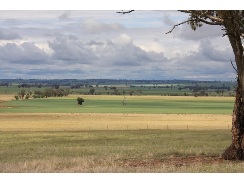 Wagga Wagga NSW 2650