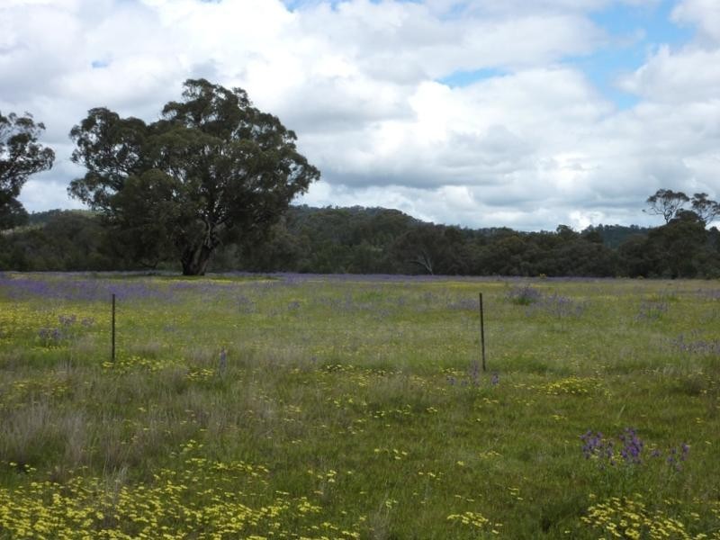 Wagga Wagga NSW 2650