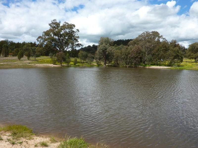 Wagga Wagga NSW 2650