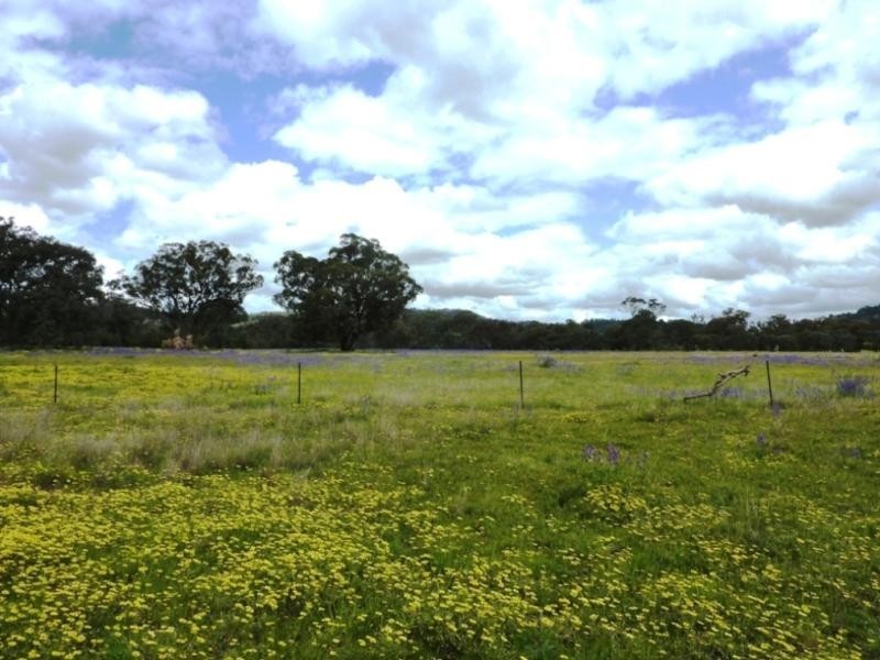 Wagga Wagga NSW 2650