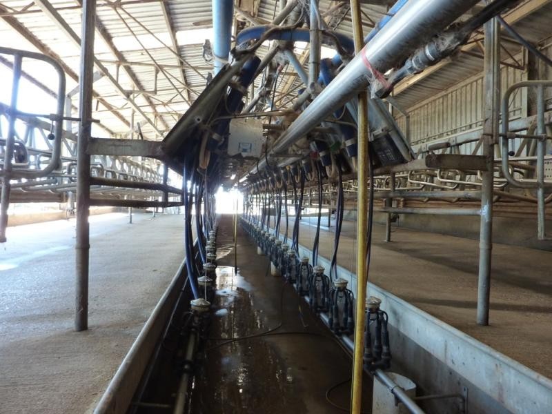 Wagga Wagga NSW 2650