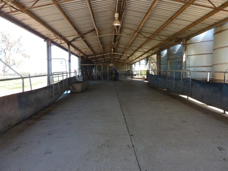 Wagga Wagga NSW 2650