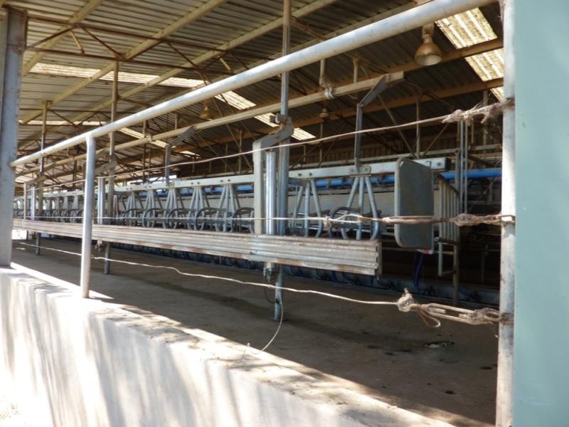 Wagga Wagga NSW 2650