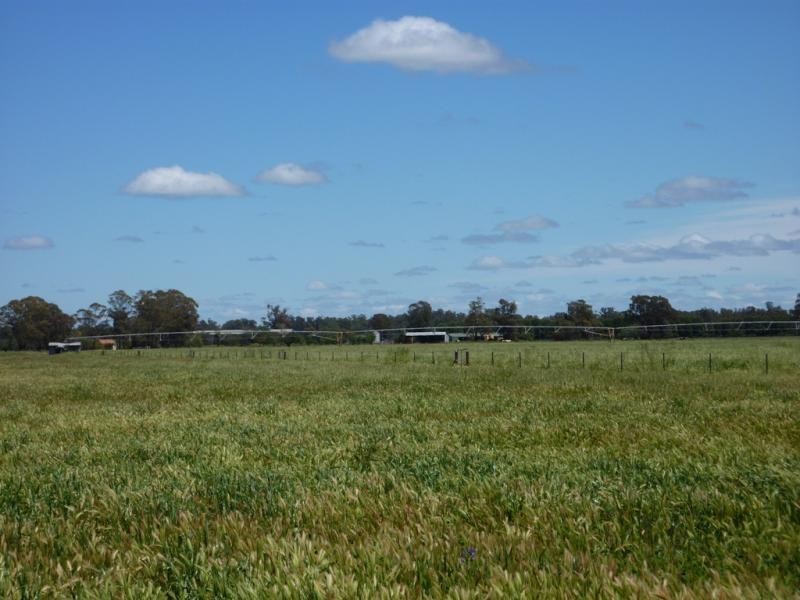 Wagga Wagga NSW 2650