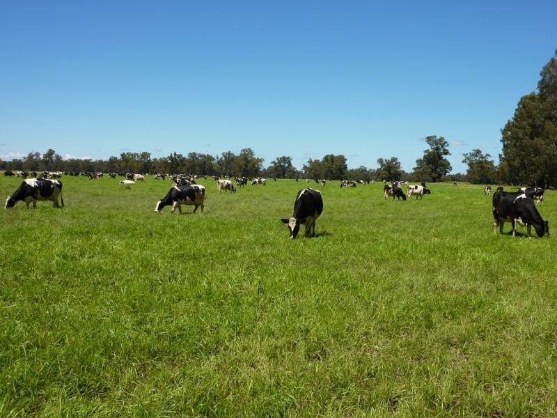 Wagga Wagga NSW 2650