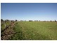 75 WILLIAM ROAD, Little River VIC 3211