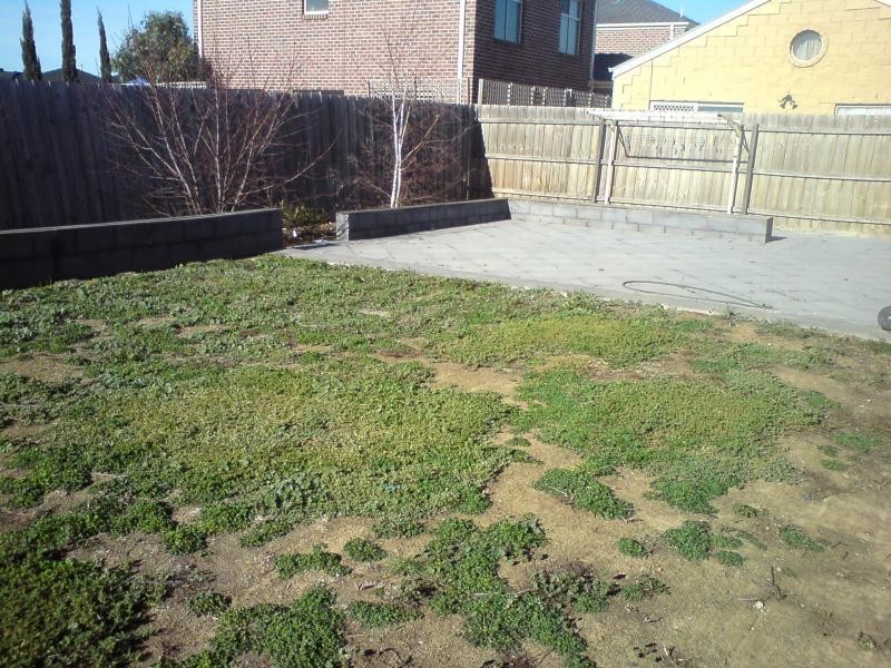 4 Crown Court, Tarneit VIC 3029