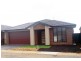 12 Cadell Avenue, Tarneit VIC 3029