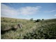 Lot 59 Mc Naughton Drive, Little River VIC 3211