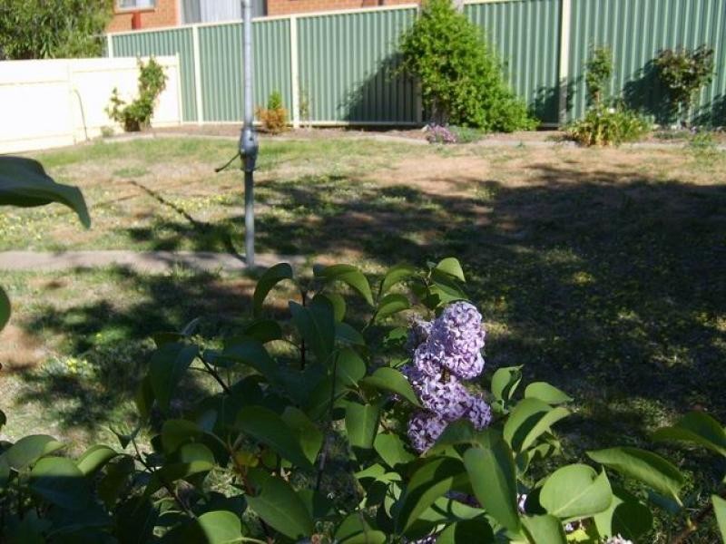2 HODGES STREET, Higgins ACT 2615