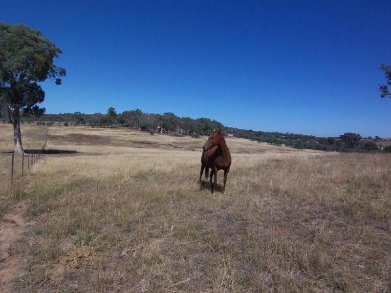 790 Dickscreek Road, Murrumbateman NSW 2582