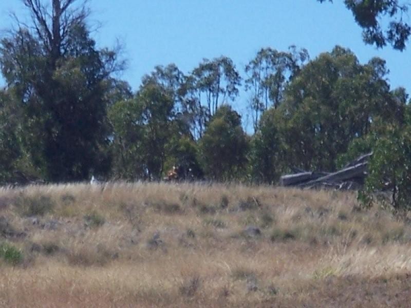 790 Dickscreek Road, Murrumbateman NSW 2582