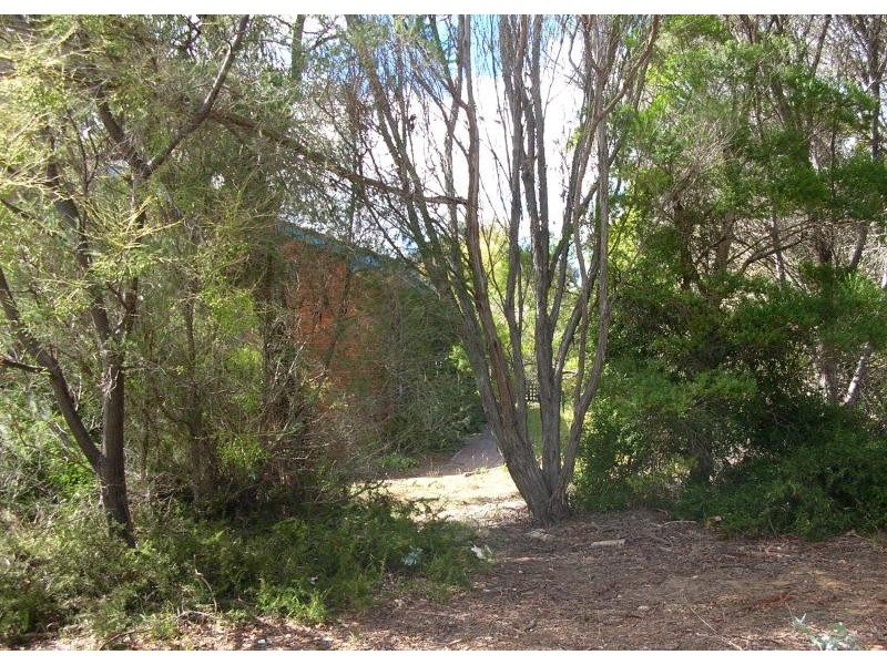 23 HENRY STREET, Cook ACT 2614