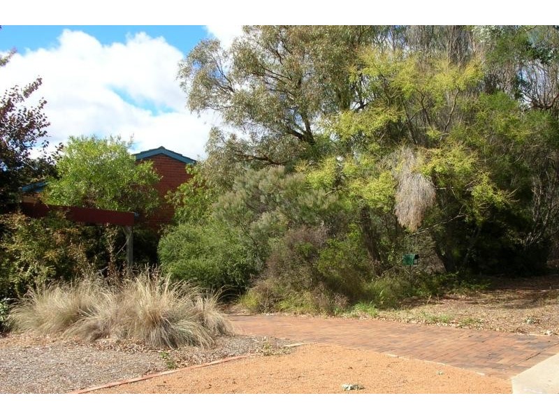 23 HENRY STREET, Cook ACT 2614