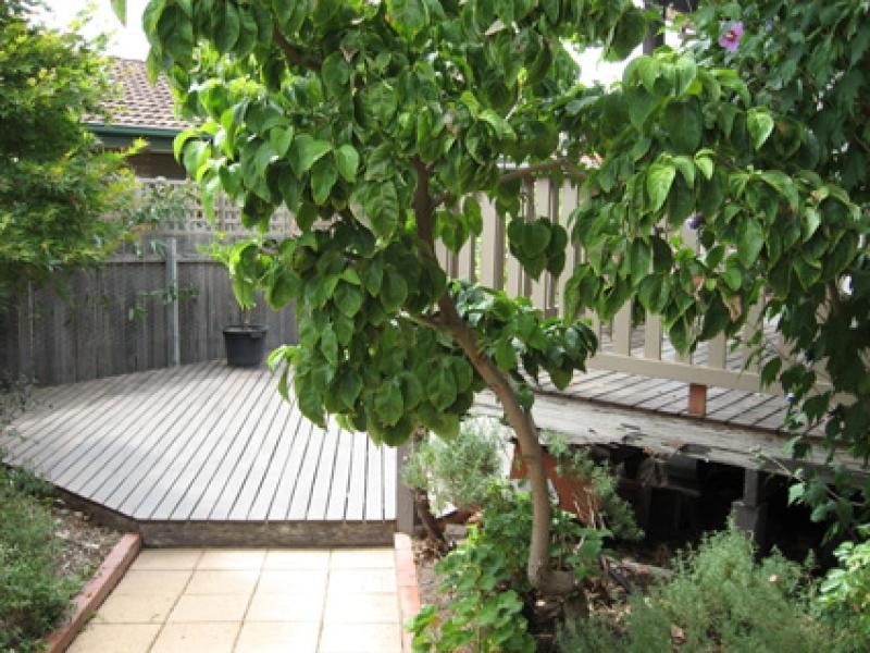 40 A Arndell Street, Macquarie ACT 2614