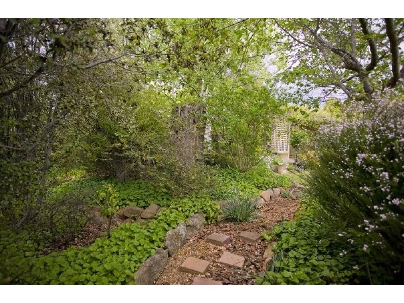 36 Cleland Street, Latham ACT 2615