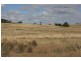 Lot 255 Murrumbateman Road, Murrumbateman NSW 2582