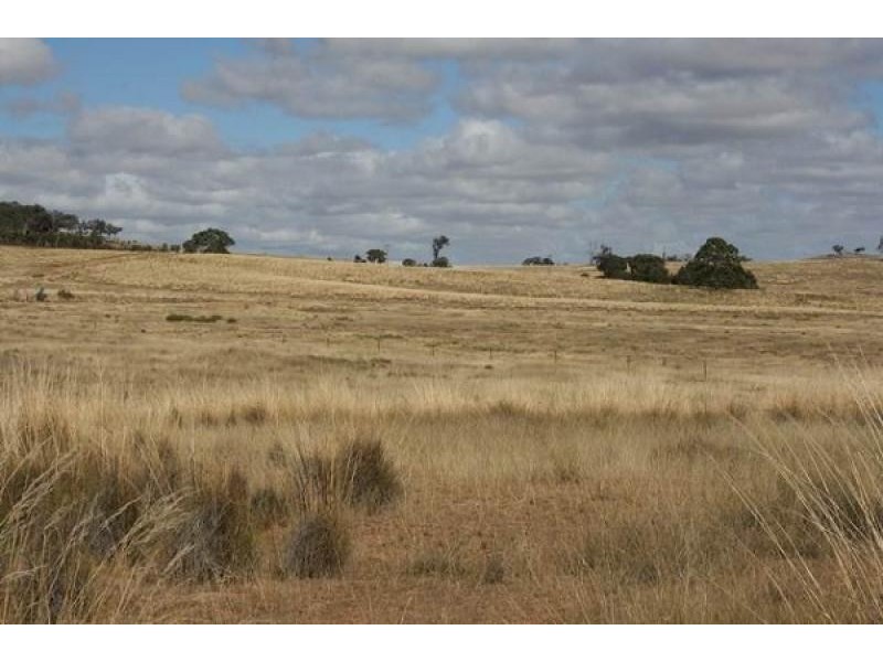 Lot 255 Murrumbateman Road, Murrumbateman NSW 2582