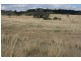 Lot 255 Murrumbateman Road, Murrumbateman NSW 2582
