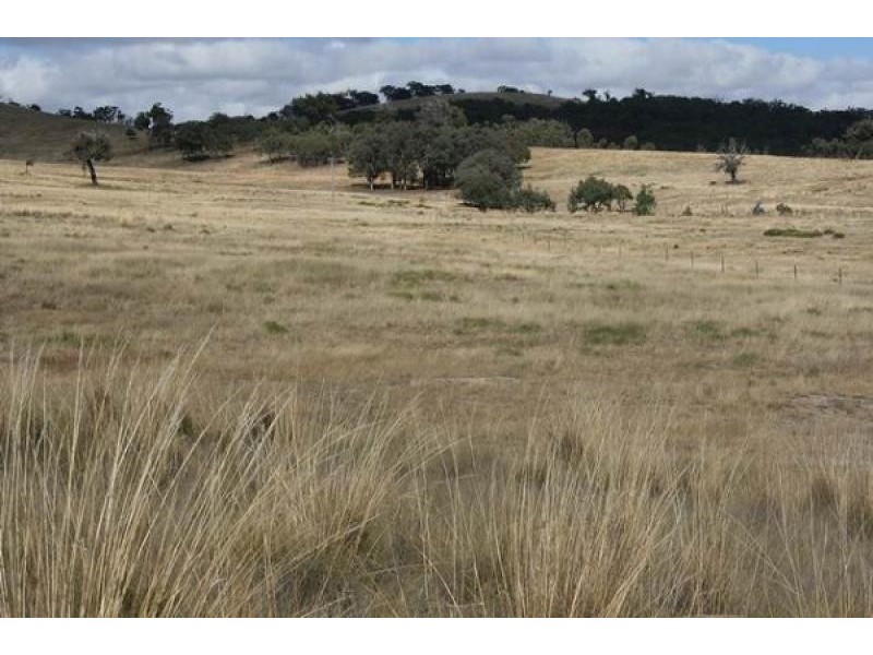 Lot 255 Murrumbateman Road, Murrumbateman NSW 2582
