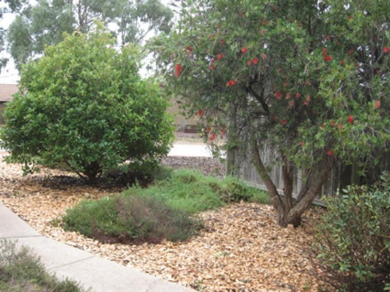 56 Enright Crescent, Florey ACT 2615