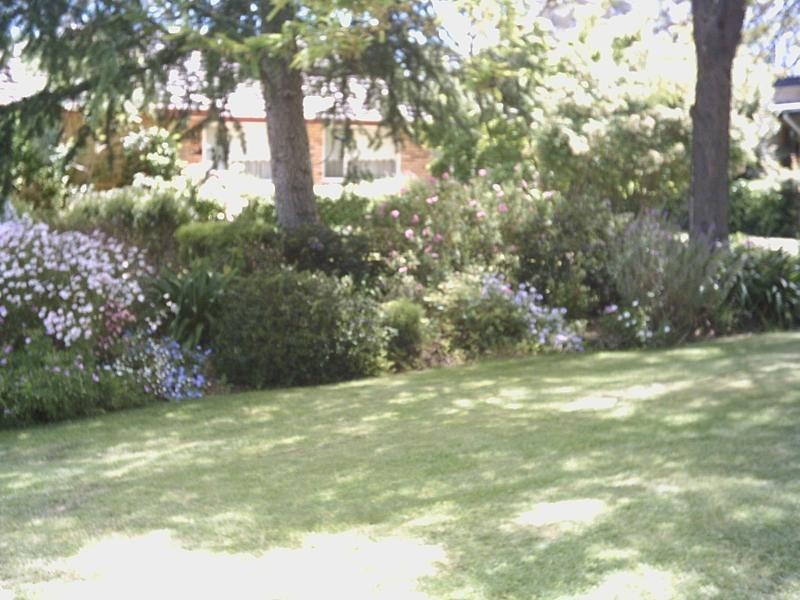 13 Godfrey Street, Campbell ACT 2612