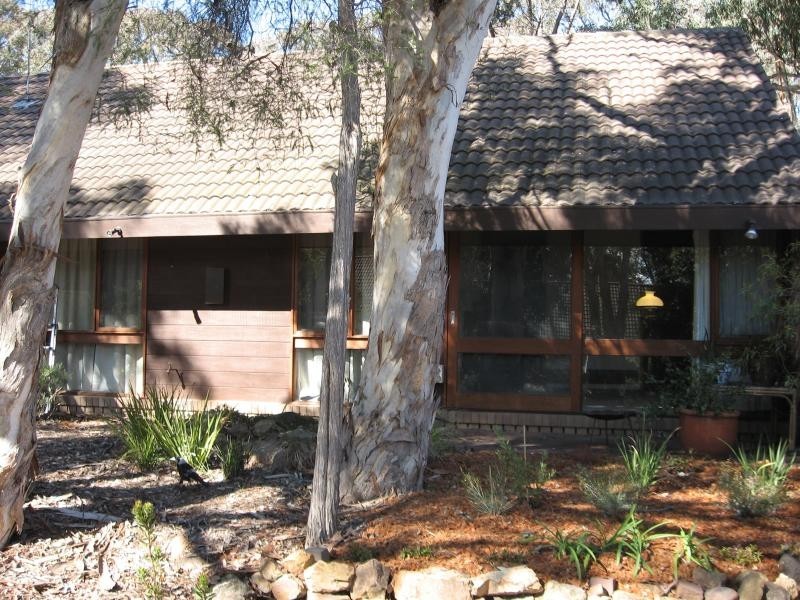 77 Wybalena Grove, Cook ACT 2614