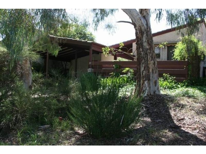 31 Elkedra Close, Hawker ACT 2614