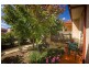 43 Sarre Street, Gungahlin ACT 2912