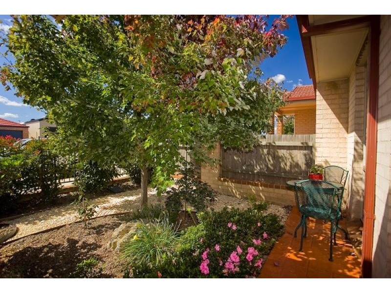 43 Sarre Street, Gungahlin ACT 2912