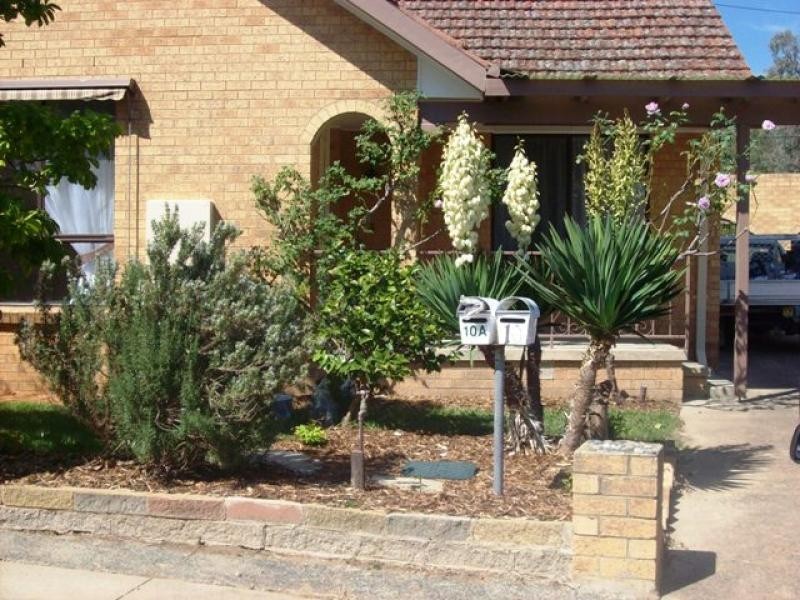10 Cox Street, Ainslie ACT 2602