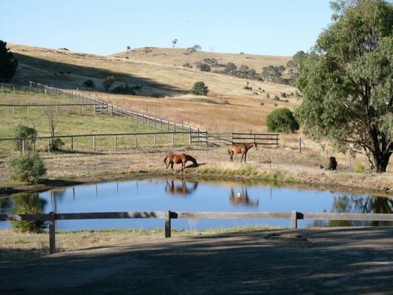 36 Alfred Road, Sutton NSW 2620