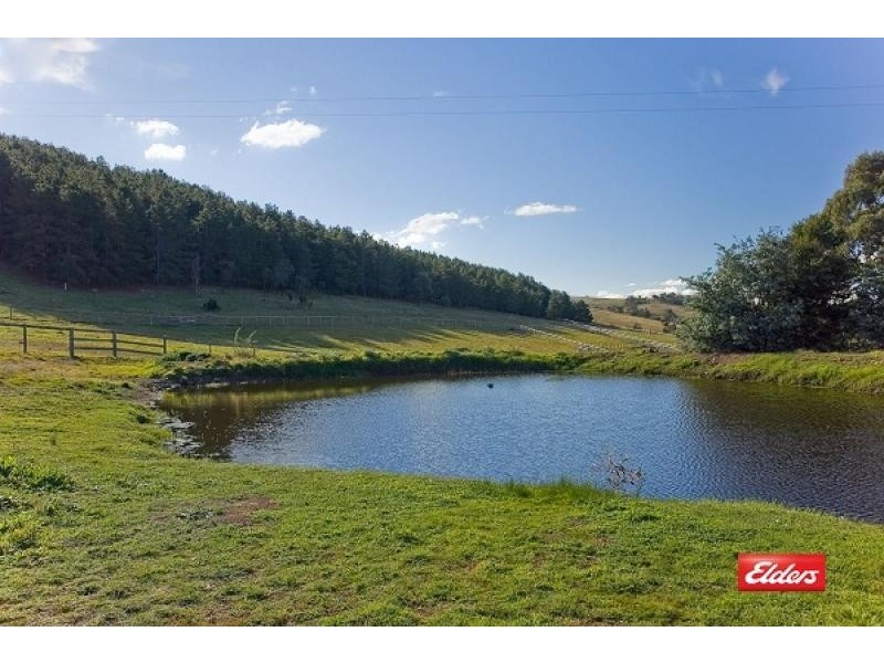 36 Alfred Road, Sutton NSW 2620