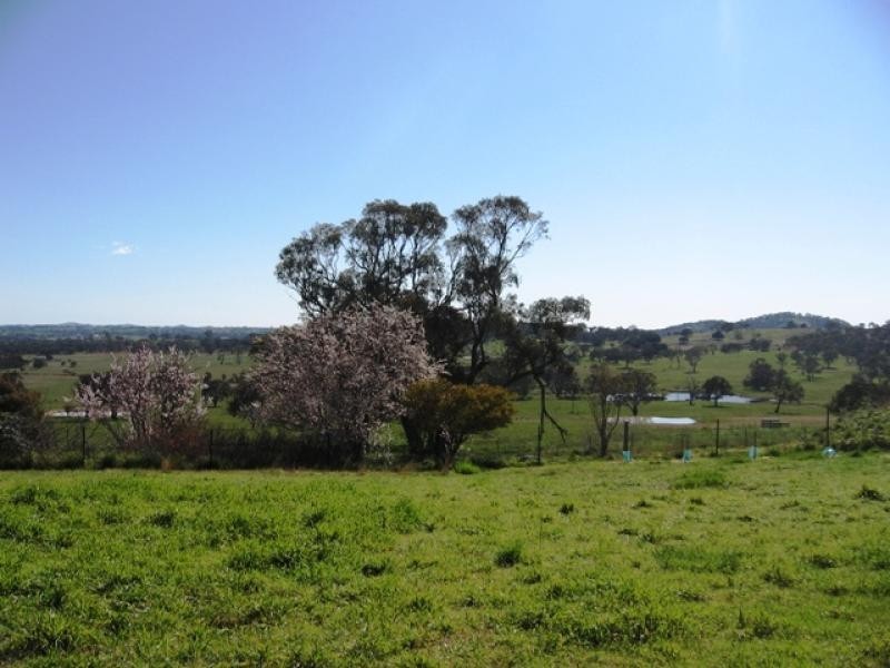 214 Kaveneys Road, Hall ACT 2618