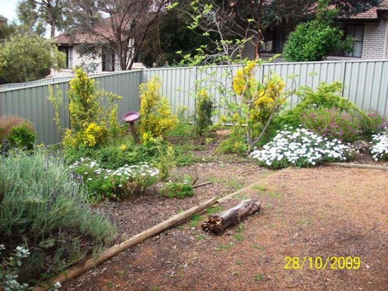 24/16 Sexton Street, Cook ACT 2614