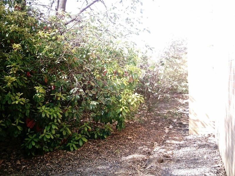 Unit 24, 43-51 Giles Street, Kingston ACT 2604