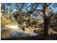 Lot 1/361 Charley’s Forest Road, Mongarlowe NSW 2622