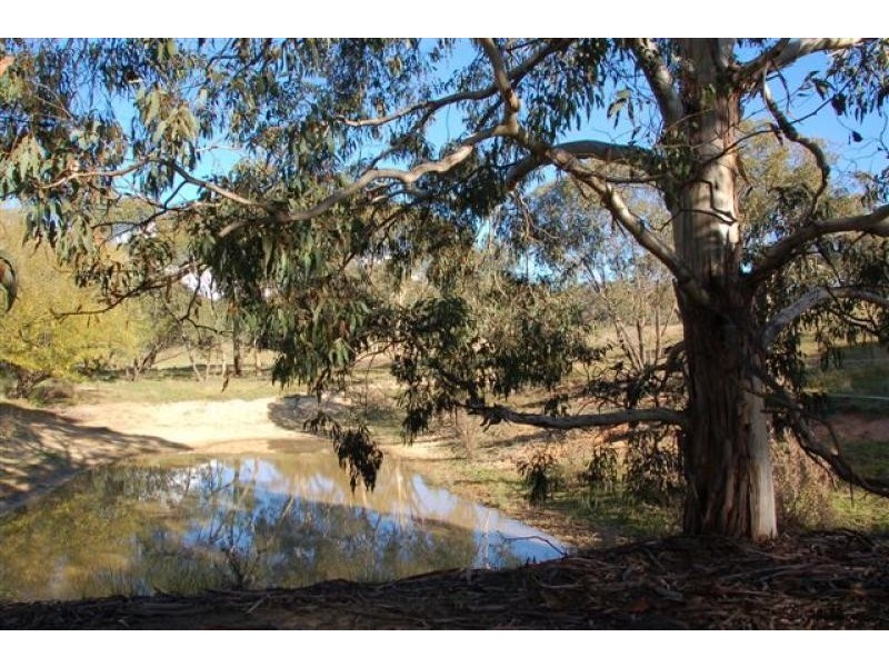 Lot 1/361 Charley’s Forest Road, Mongarlowe NSW 2622