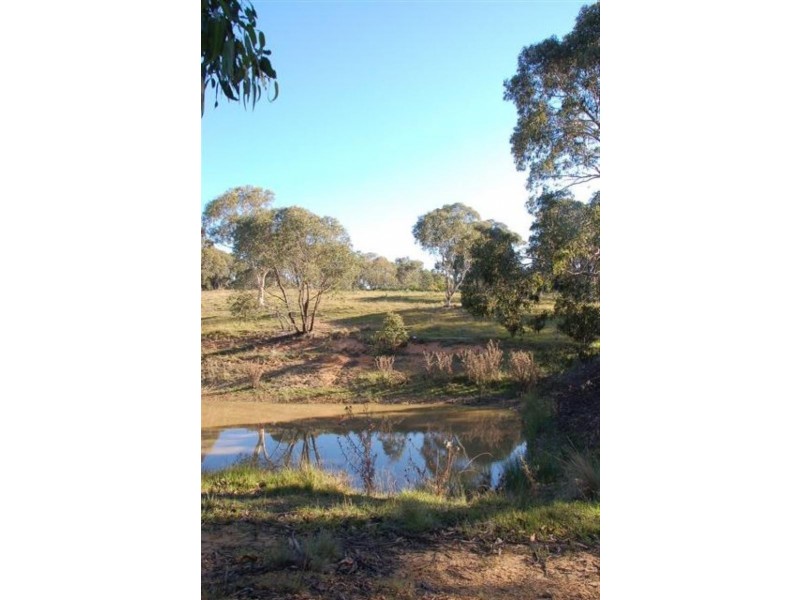 Lot 1/361 Charley’s Forest Road, Mongarlowe NSW 2622