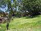Goonellabah NSW 2480