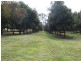 Pearces Creek NSW 2477