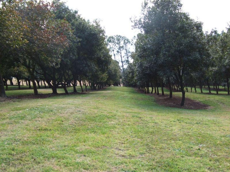 Pearces Creek NSW 2477