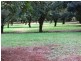 Pearces Creek NSW 2477