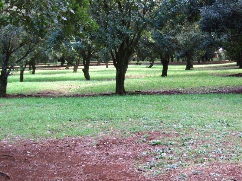 Pearces Creek NSW 2477
