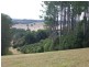 Pearces Creek NSW 2477