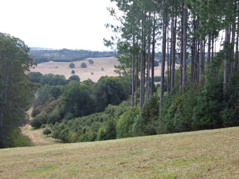 Pearces Creek NSW 2477